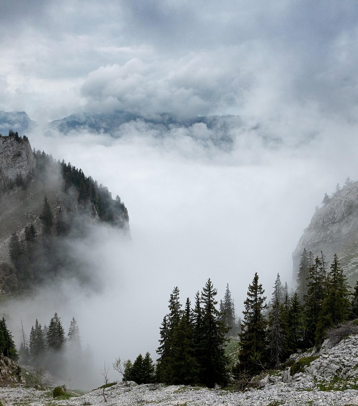 Quiet Fell